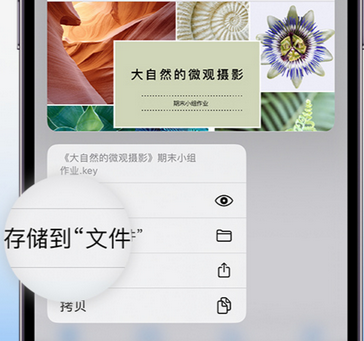 顺义apple维修中心分享iPhone文件应用中存储和找到下载文件