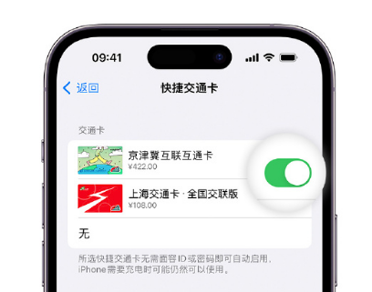 顺义apple维修点分享iPhone上更换Apple Pay快捷交通卡手绘卡面 