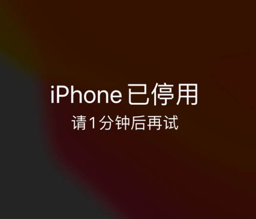 顺义苹果手机维修分享:iPhone 显示“不可用”或“已停用”怎么办？还能保留数据吗？ 