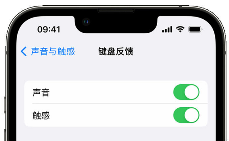 顺义苹果手机维修分享iPhone 14触感键盘使用方法 