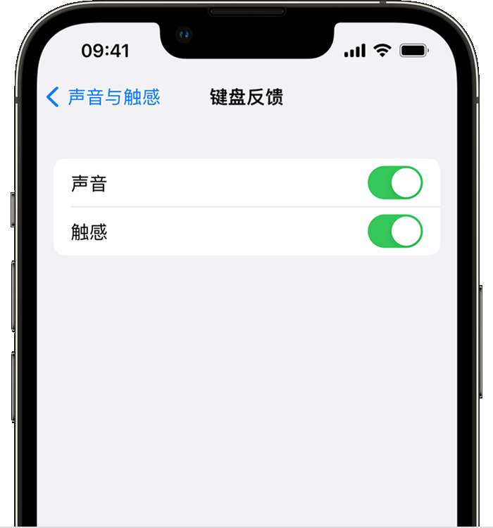 顺义苹果14维修店分享如何在 iPhone 14 机型中使用触感键盘 