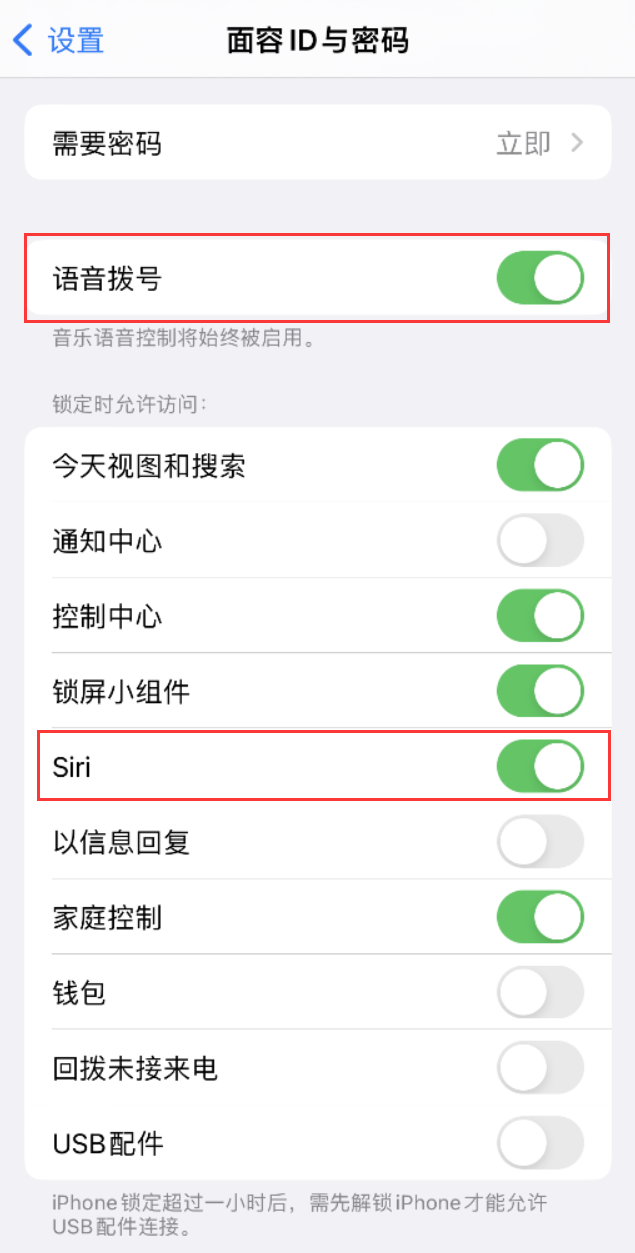 顺义苹果维修网点分享不解锁 iPhone 的情况下通过 Siri 拨打电话的方法 