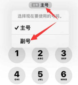 顺义苹果14维修店分享iPhone 14 Pro Max使用副卡打电话的方法 