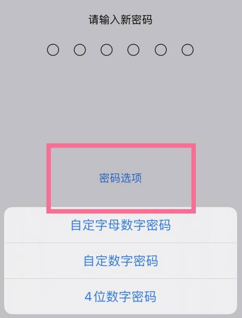 顺义苹果14维修分享iPhone 14plus设置密码的方法 