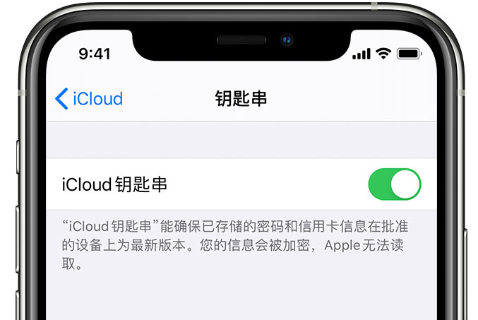 顺义苹果手机维修分享在 iPhone 上开启 iCloud 钥匙串之后会储存哪些信息 