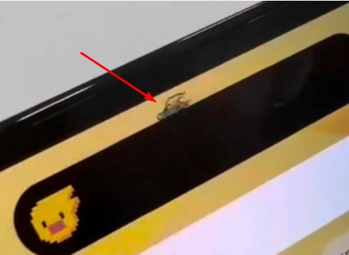 顺义苹果14维修分享iPhone 14 Pro Max灵动岛怎么养宠物 