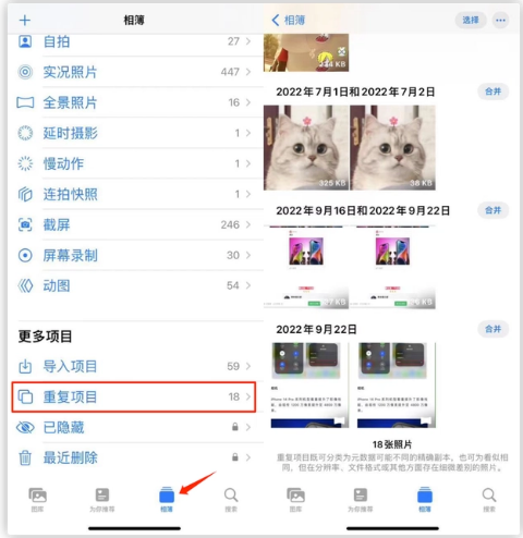 顺义苹果手机维修分享iOS 16 中相册重复项目功能使用方法 