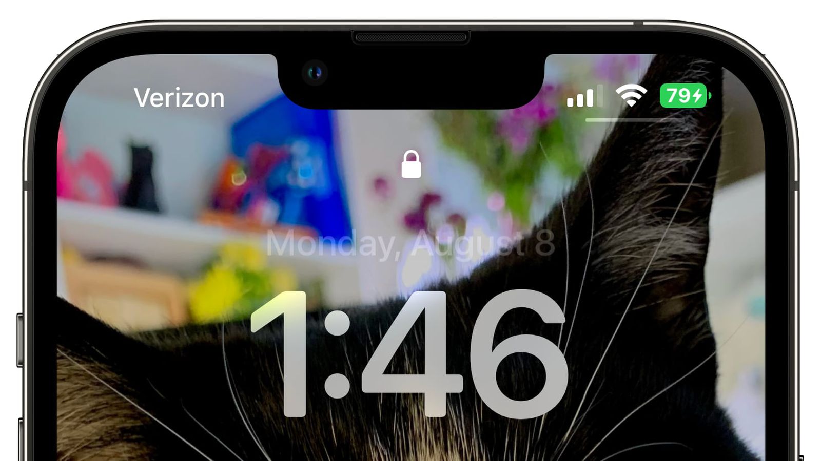 顺义苹果手机维修分享iOS 16 beta 5 支持状态栏显示电池百分比，如何开启？支持哪些机型 