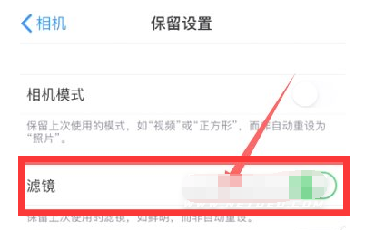 顺义苹果13维修分享iPhone13拍照有绿点是怎么回事 