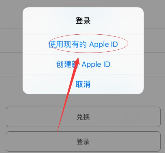 顺义苹果手机维修分享两台iPhone设备可以同时登录一个Apple ID吗 