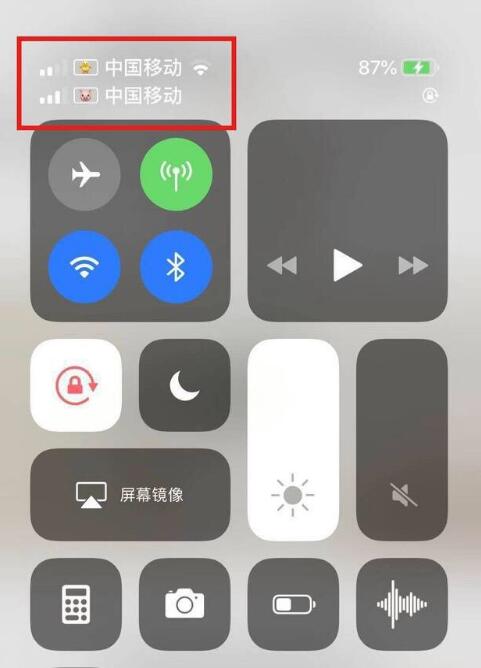 顺义苹果手机维修分享为 iPhone 12 双卡设置标签 